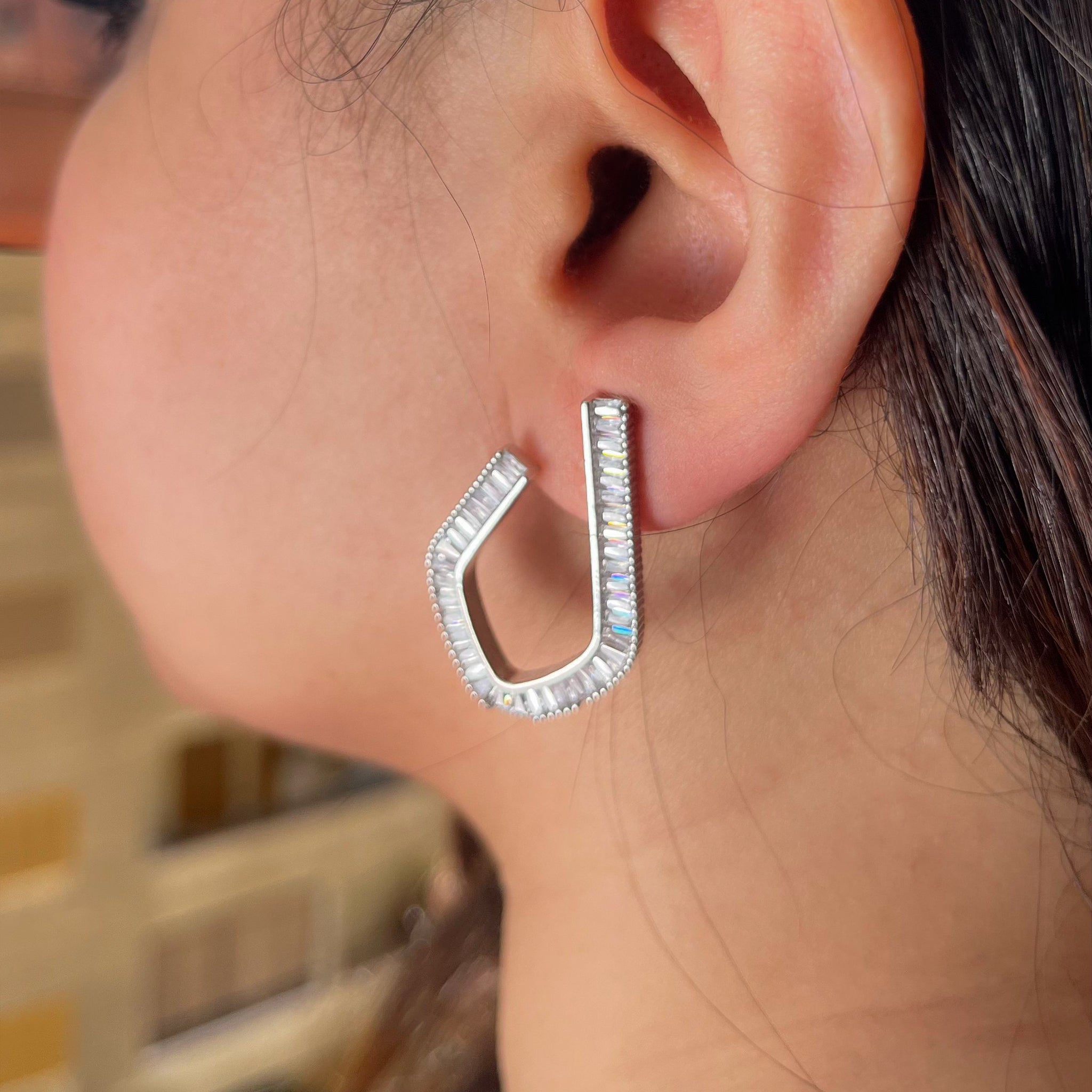 Earrings 24